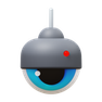 IP-Kameras